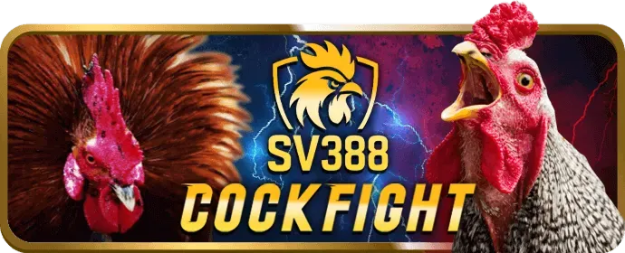 Bj388 dang nhap san pham ca cuoc da dang